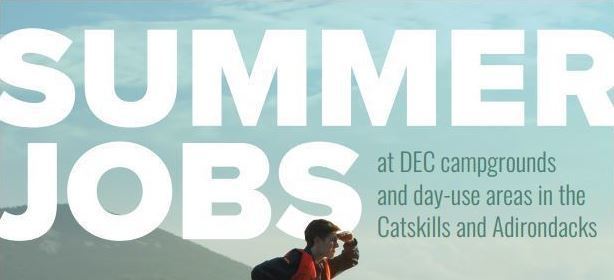 DEC Summer Jobs