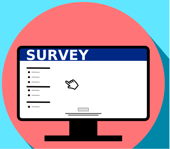 dcs survey